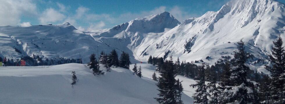Winterimpression